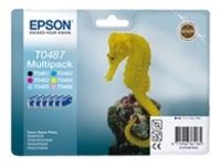 Logo Epson multipack pour epson stylus photo r200/r300 13000604