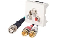 Logo Plastron rca + 2 rca son - 5 m 102620