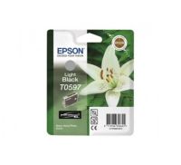 Logo Epson encre pour epson stylus photo r2400, noir clair 13000512