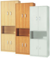 Logo Wellembel armoire  tagres 'jobexpress', 5 tagres, 7600387