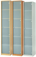 Logo Wellembel vitrine 'jobexpress', 5 tagres, (l)400 mm, 7600407