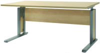 Logo Wellembel bureau 'jobexpress', (l)1600 mm, imitation rable 7600312
