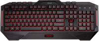 Logo Asus, produit r�f�rence : cerberus keyboard