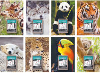 Logo Lecas calendrier phmride mural wild, bloc comique, 2022 74000307