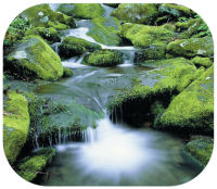 Logo Fellowes tapis de souris brit-mat rigide rectangle vagues 58713 282823