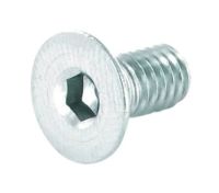 Logo Vis m4x8 allen 2,5 mm linee/-s nf 119407