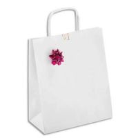 Logo Emballage paquet de 100 sacs kraft lisse blanc 110g poignes torsades - format l25 x h32 x p9 cm 177051