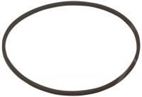 Logo Mm courroie care 174139