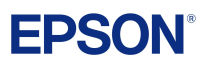 Logo Epson ext gtie 3ans site but al-c9200n-9300 2588535