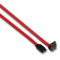 Logo Cordon sata droit / coud� - 0,50 m 2110102