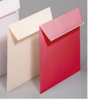 Logo Clairefontaine paquet de 20 enveloppes 120g pollen 16,5x16,5cm . coloris vert bourgeon 731331