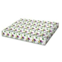 Logo Inapa ramette 500 feuilles papier extra blanc satin pro design sra3 90g cie 168 236112