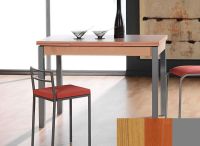 Logo Table mensa ext 120x80 - plateau  - pieds argent - ceinture codenontrouve_-cerisier 3461__argent_codenontrouve_-cerisier