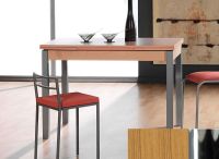 Logo Table mensa ext 100x60 - plateau  - pieds chrome - ceinture codenontrouve_- 2034__chrome_codenontrouve_-