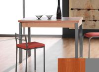 Logo Table mensa ext 120x80 3461_cerisier_argent_codenontrouve_-cerisier