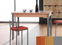 Logo Table mensa ext 110x70 - plateau cerisier - pieds argent - ceinture codenontrouve_- 2039_cerisier_argent_codenontrouve_-