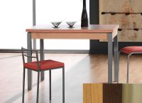 Logo Table mensa ext 100x60 - plateau  - pieds inox - ceinture codenontrouve_-wengue 2034__inox_codenontrouve_-wengue