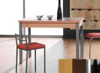 Logo Table mensa ext 110x70 - plateau  - pieds chrome - ceinture codenontrouve_-wengue 2039__chrome_codenontrouve_-wengue