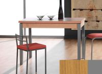 Logo Table mensa ext 110x70 - plateau  - pieds argent - ceinture codenontrouve_- 2039__argent_codenontrouve_-