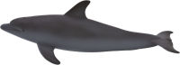 Logo Animal planet grand daphin 387118