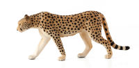Logo Animal planet gupard 387197