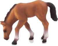 Logo Animal planet poulain arabe, mangeant 387073
