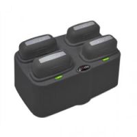 Logo Quad-bay b4 batterie charging cra-a119