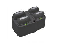 Logo Quad-bay b4 batterie charging cra-a116