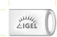 Logo Ud pocket usb stick + 3 year h77030000003000