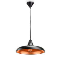 Logo Lampe � suspension philips 