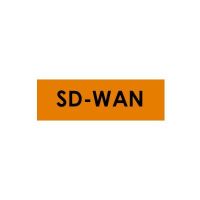 Logo Licence 1 an sd-wan pour vpn100 lic-sdwan-zz0003