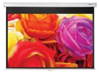 Logo Manual screen 16:10 - 166x266 ds-1123pmg+