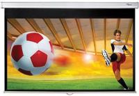 Logo Manual screen 16:9 - 114*203cm ds-9092pwc