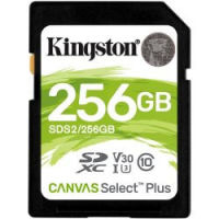 Logo Carte sdxc canvas select plus 256gb ki-0138