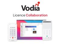 Logo Lic collaboration 20 extensions abonnement mensuel vodtay20-m