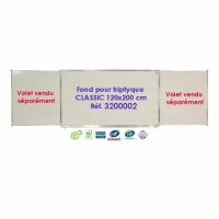 Logo Fond vanerum triptyque 3200002