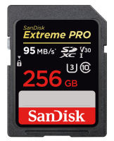 Logo Extreme pro, 256 gb sdsdxxg-256g-gn4in