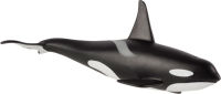 Logo Animal planet orque 387114