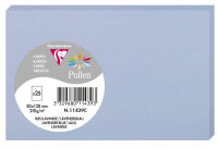 Logo Pollen by clairefontaine carte 82 x 128, argent 8016242