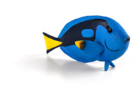 Logo Animal planet paracanthurus hepatus 387269