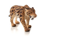 Logo Animal planet tigre  dents de sabre 387048