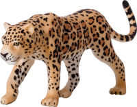 Logo Animal planet lopard 387018