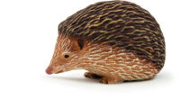 Logo Animal planet hrisson pineux 387035