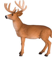 Logo Animal planet cerf 387038