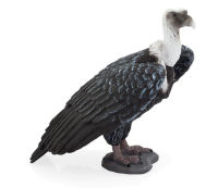 Logo Animal planet vautour fauve 387165