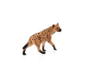 Logo Animal planet hyne 387089