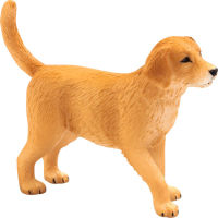 Logo Animal planet chiot golden retriever 387205