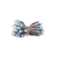 Logo Pixel led 12mm 0,3w 5v epistar fullcouleur 19031c (chain 50 pi�ces)  - couleur rvb de-pix-12-full