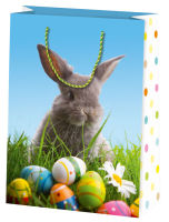 Logo Susy card sachet cadeau de pques 'cute bunny', petit 40026138