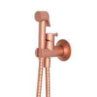 Logo Kit wc mitigeur rtro avec douchette et flexible hydrotherapie - wj67134p